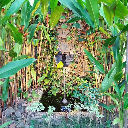 Rock Forest Goa Honeymoon Cottages Calangute Bagian luar foto