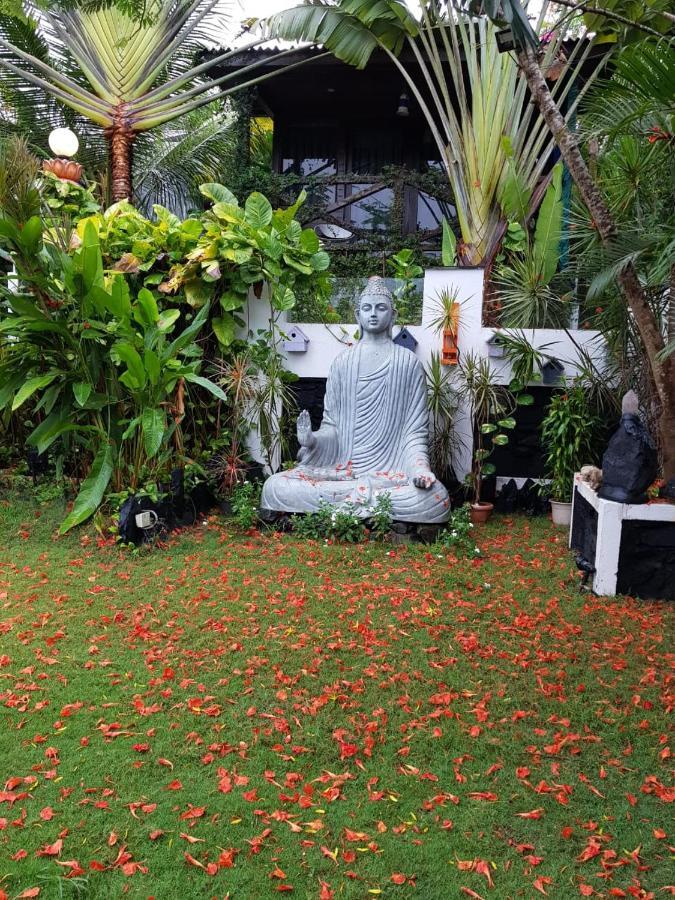 Rock Forest Goa Honeymoon Cottages Calangute Bagian luar foto